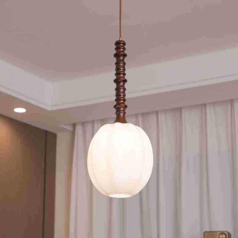 Modern Elegant Hanging Pendant Light