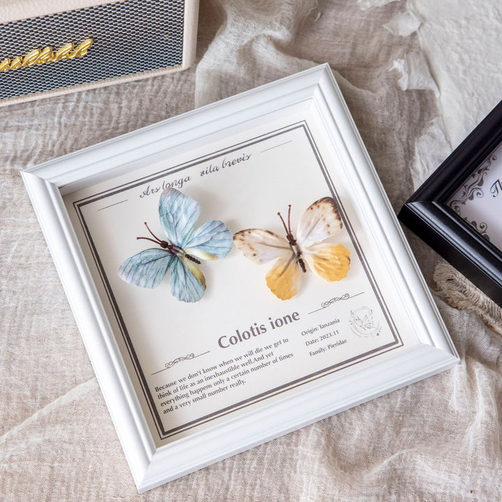 Artistic Framed Butterfly Print