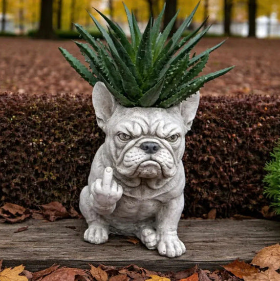 Decorative Dog Plant Stornfield