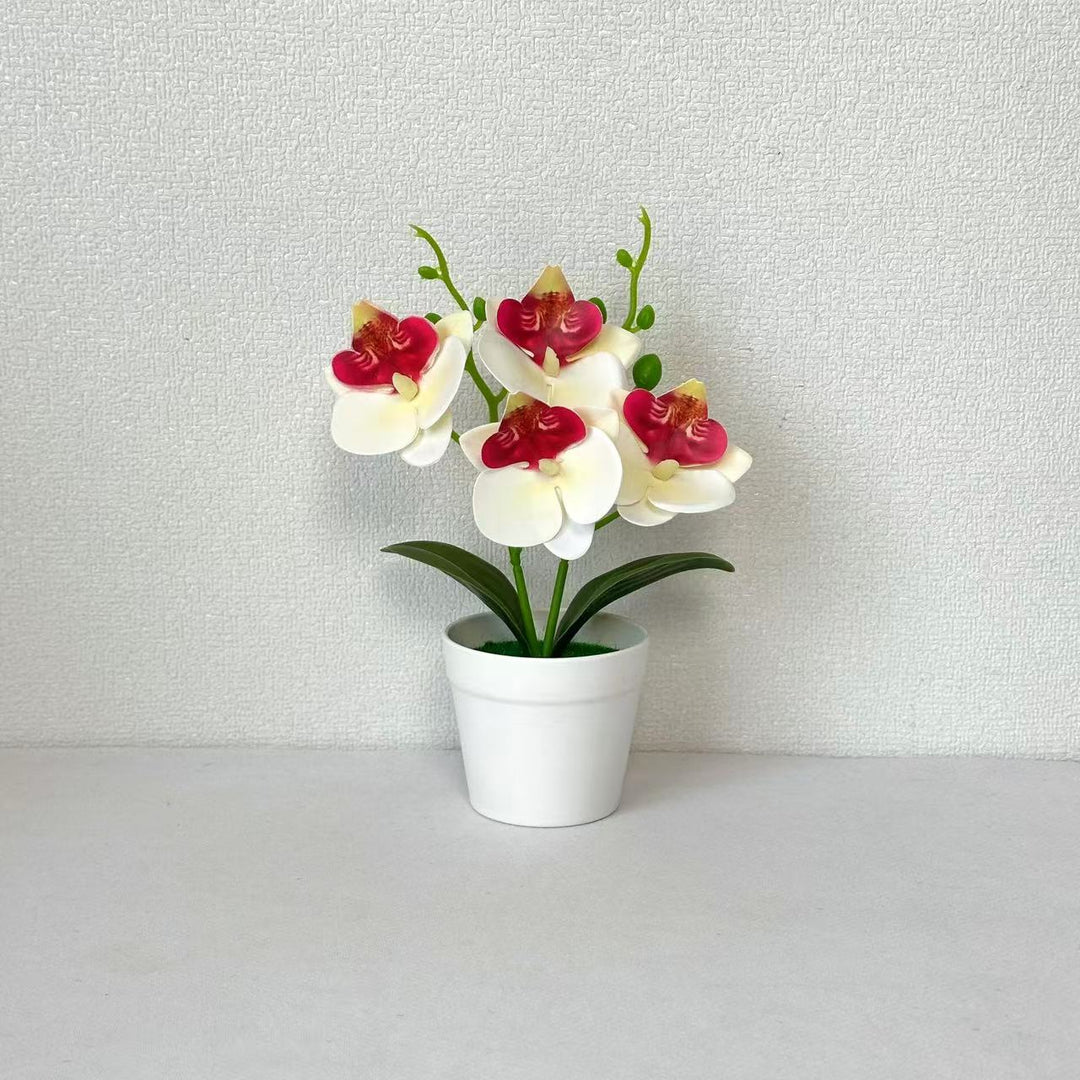 Elegant Decorative Orchid Floral Arrangement for Home Decor