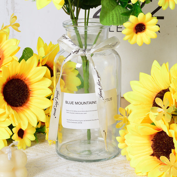 Decorative Eco-friendly Glass Vase