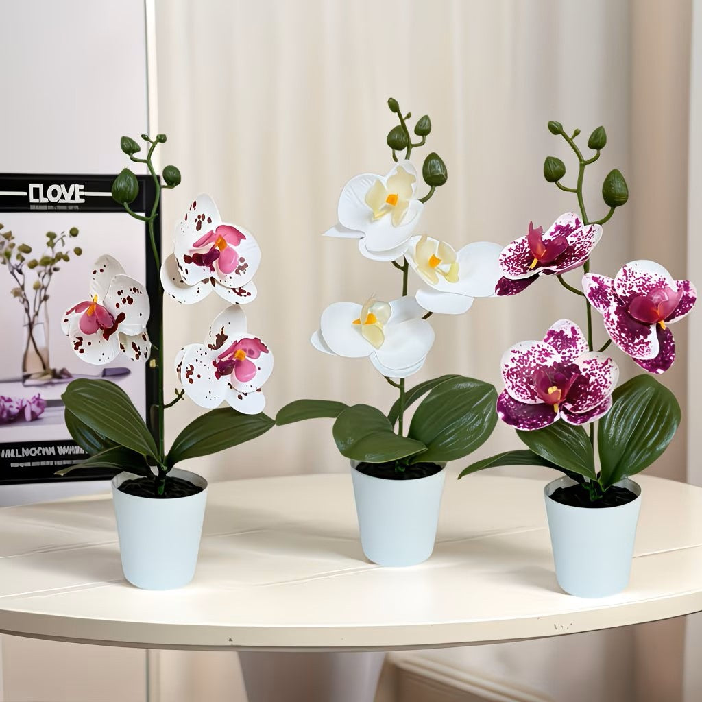 Realistic Faux Orchid Arrangement