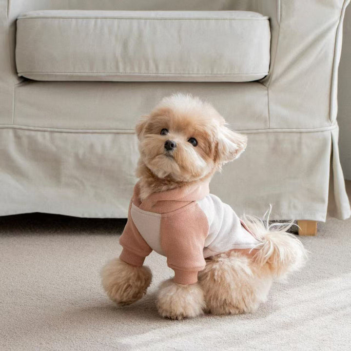 Small Dog Fleece Hoodie with Ribbed Cuffs and Hood