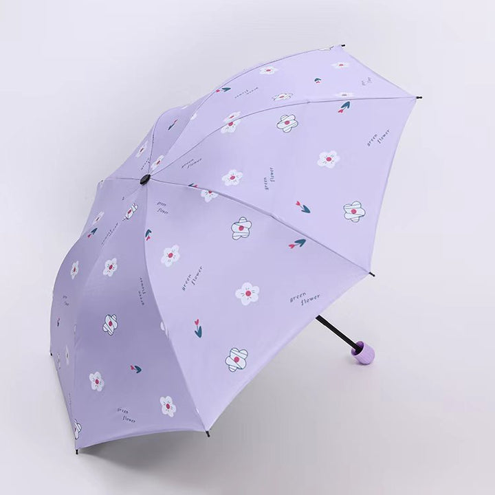 Ladies Umbrella Stornfield