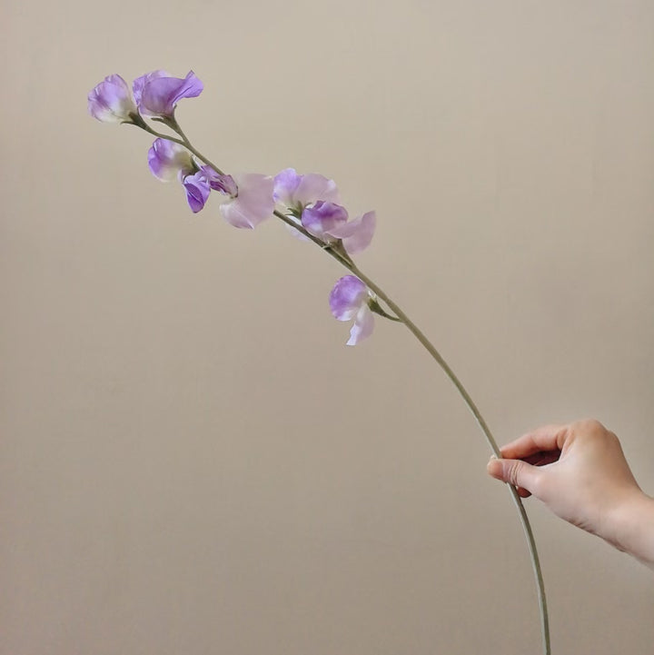 Elegant Silk Sweet Pea Stem