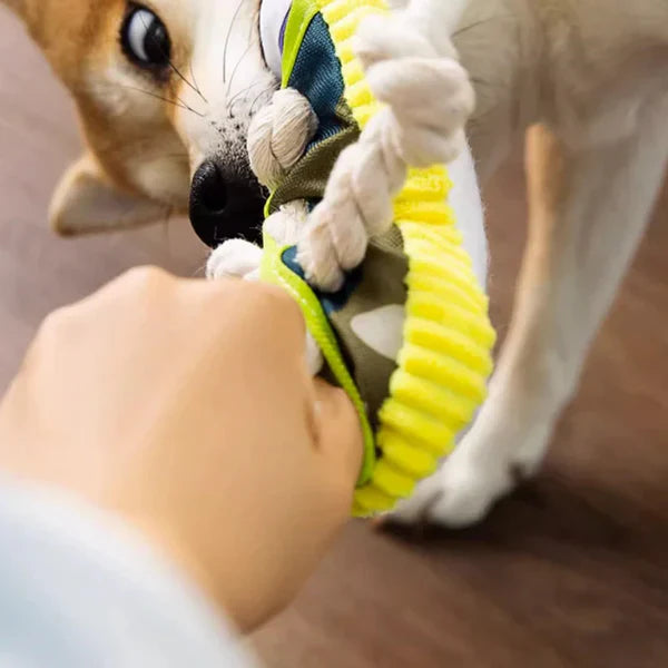 Stornfield Robust Dog Sneaker Toy with Rope and Squeaker