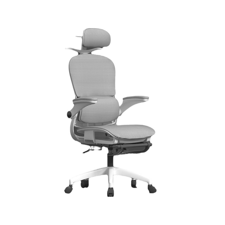 Adjustable Lumbar Support Office Chair Stornfield