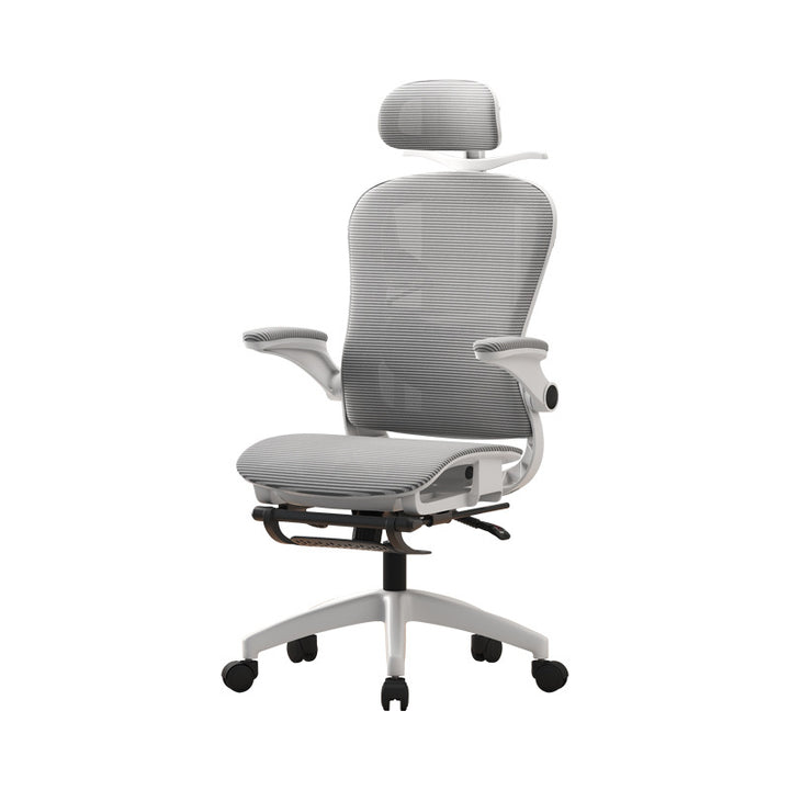 Ergonomic Office Chair Stornfield