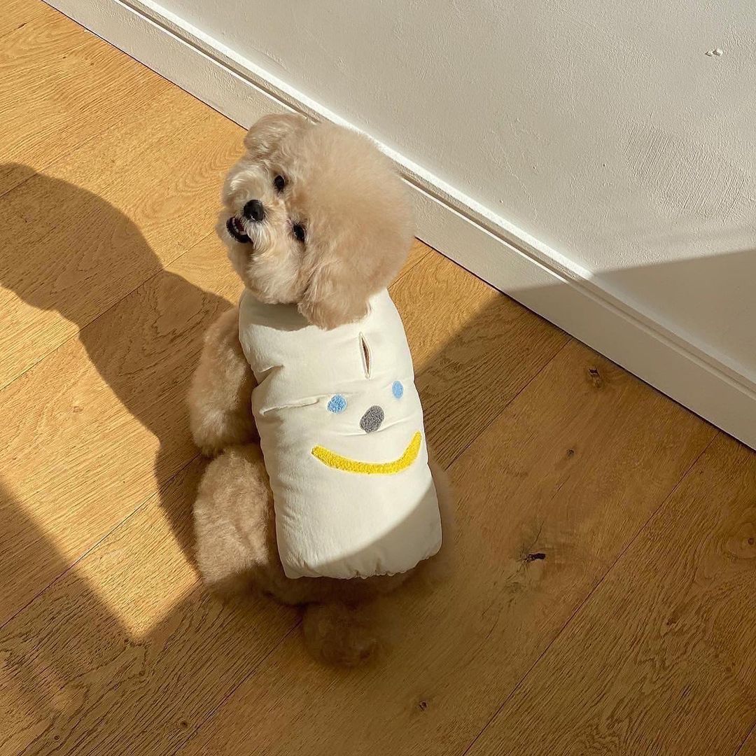 Quilted Puffer Dog Vest with Embroidered Smile Face and Back Harness Slot