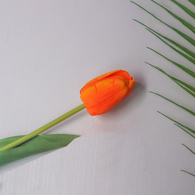 Realistic Tulip Flower Stem