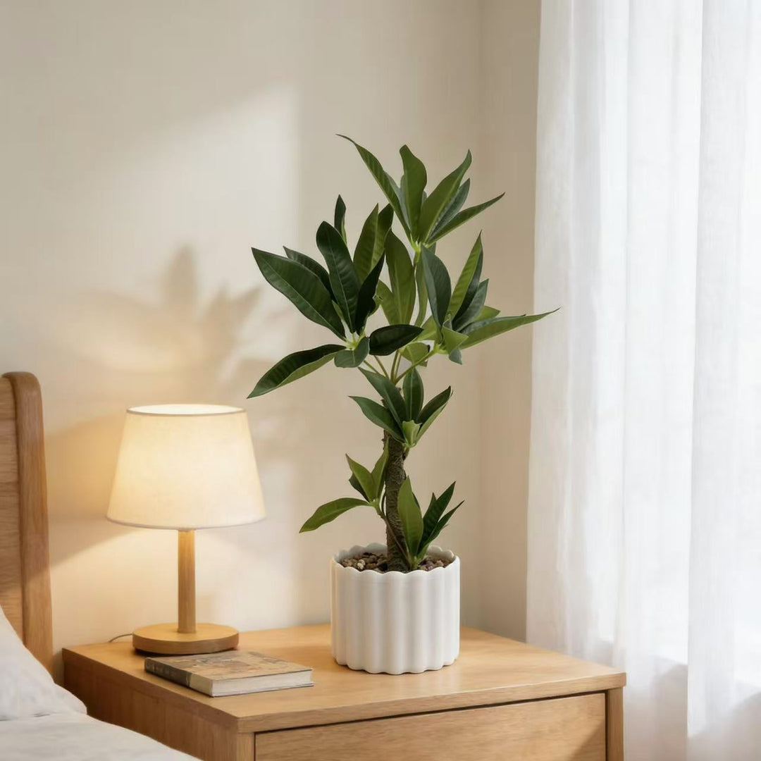 Decorative Potted Fern Plant for Home Decor Display