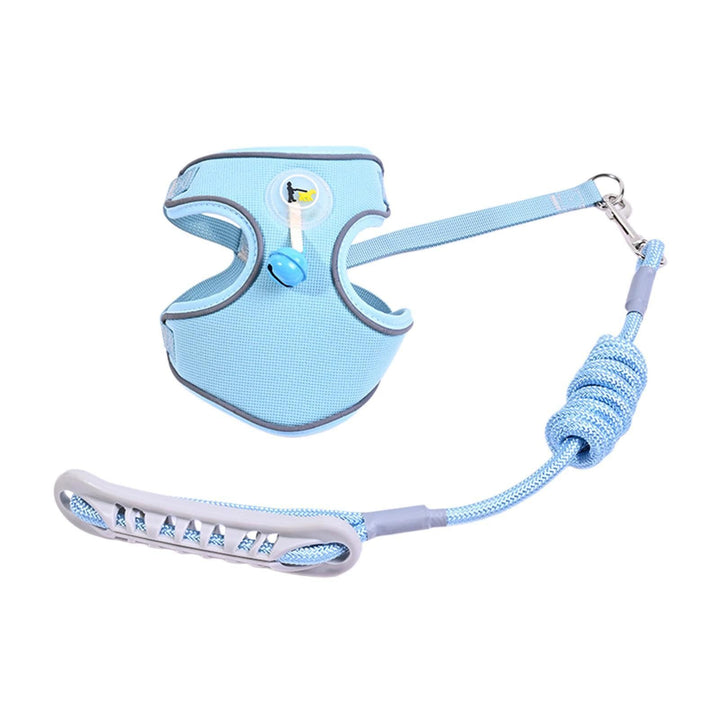 Pet harness with leash Stornfield