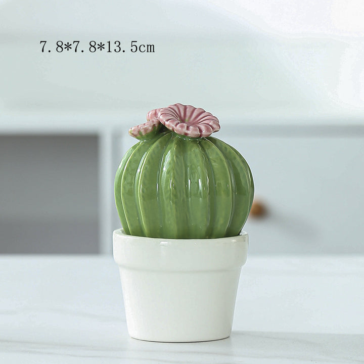 Decorative Ceramic Cactus Planter Stornfeild