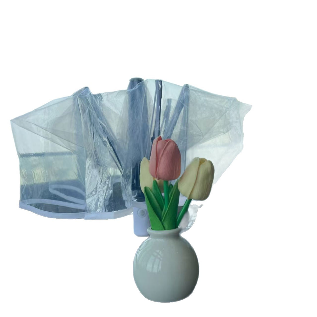 Ladies Transparent Rain Umbrella Stornfield