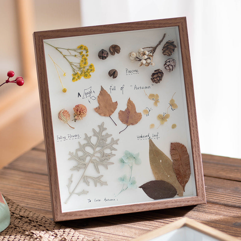 Decorative Framed Butterfly Art for Home