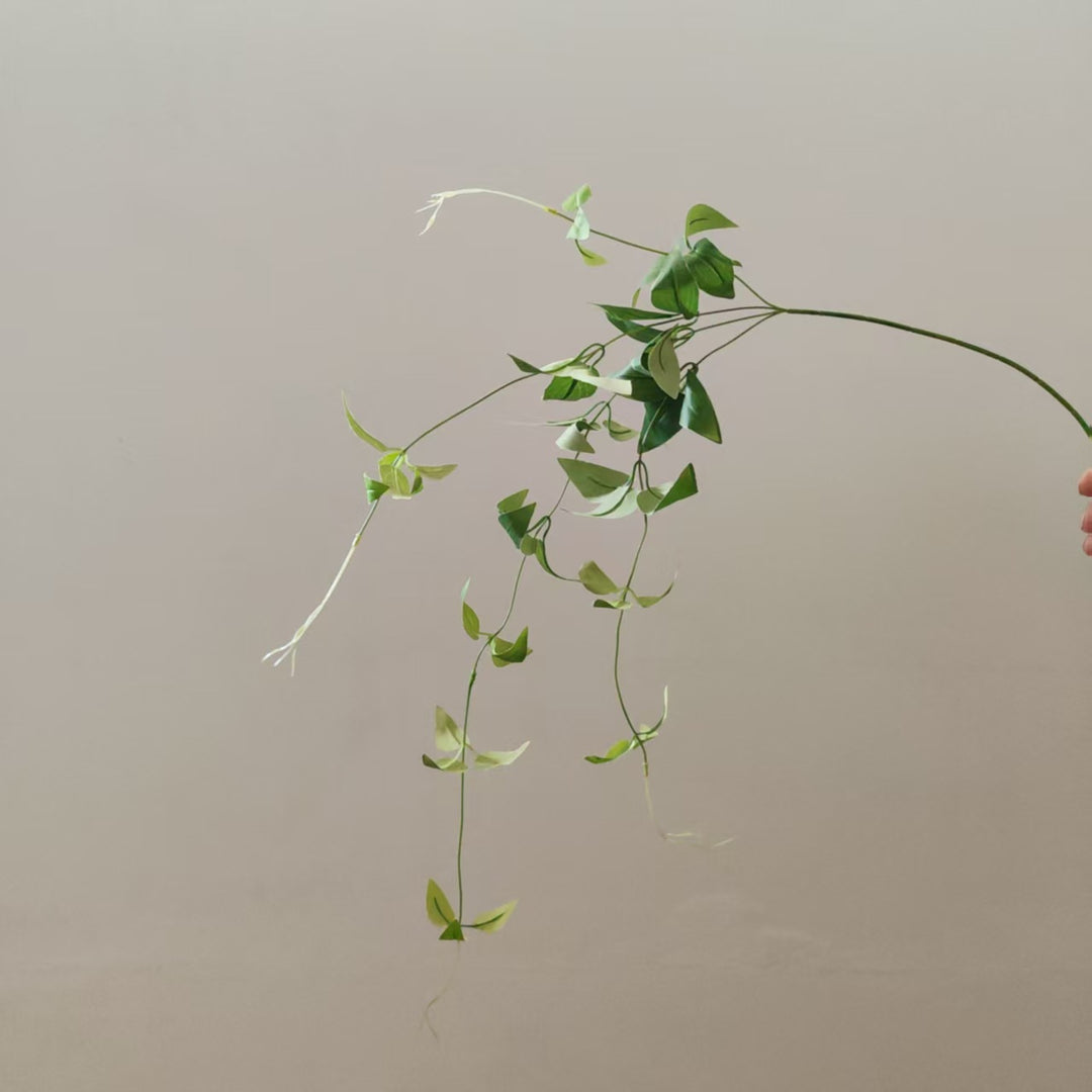 Lifelike Trailing Vine Plant