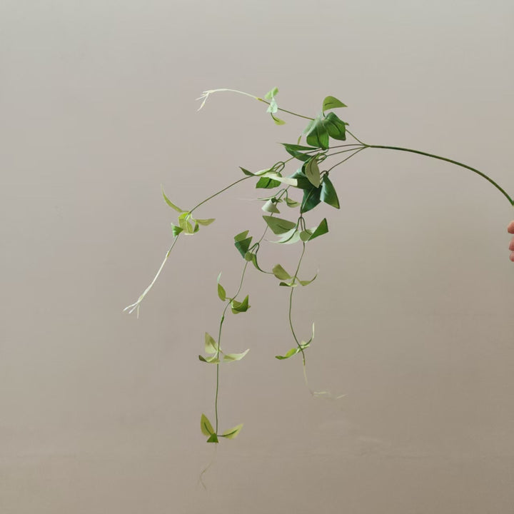 Lifelike Trailing Vine Plant