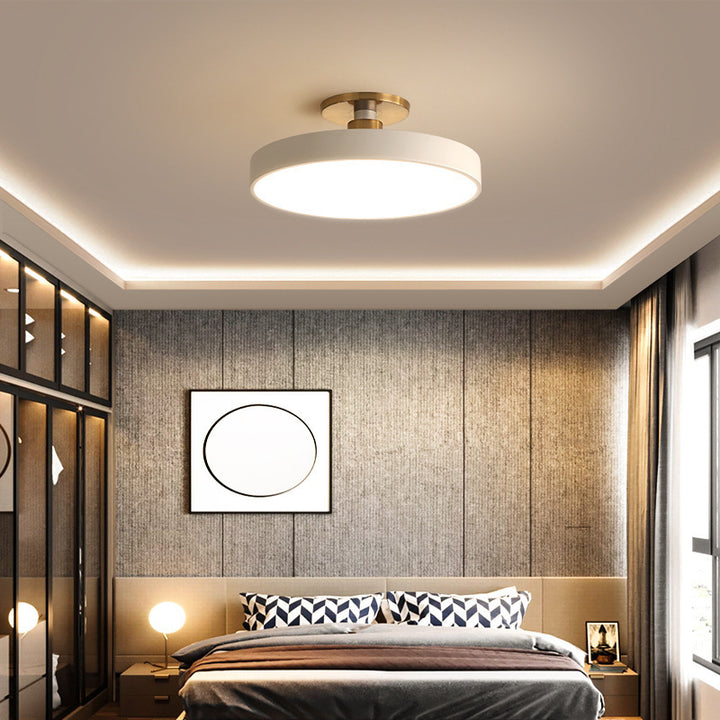 Contemporary Flush Mount Ceiling Light