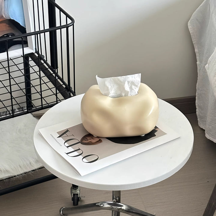 Modern Abstract Tissue Box Holder