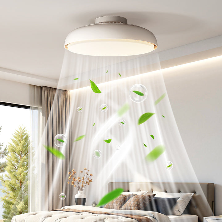 Modern Ceiling Fan with Integrated LED Light