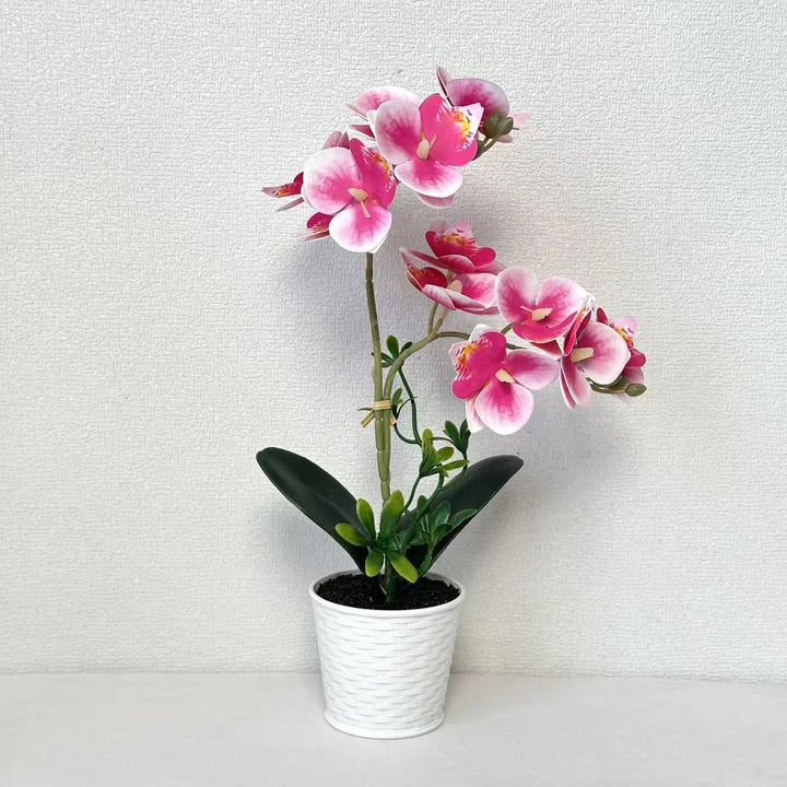 Artificial Orchid Arrangement for Decorative Indoor Display
