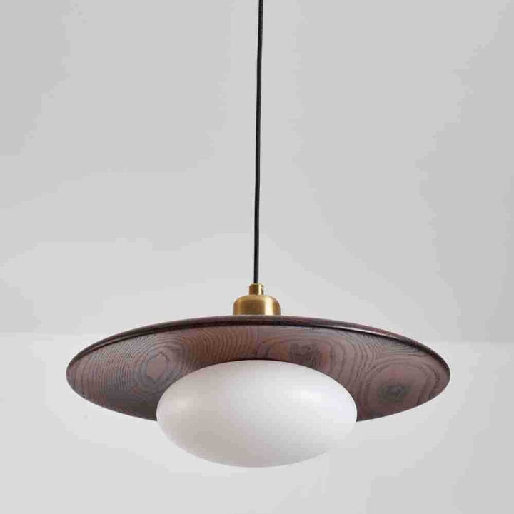 Modern Artistic Pendant Light Fixture