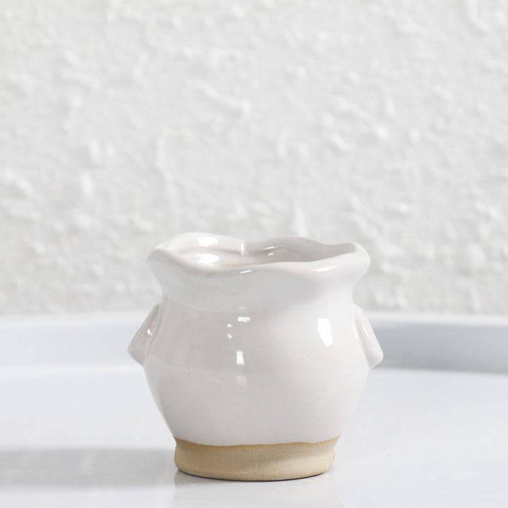 Miniature Decorative Flower Pot Stornfeild