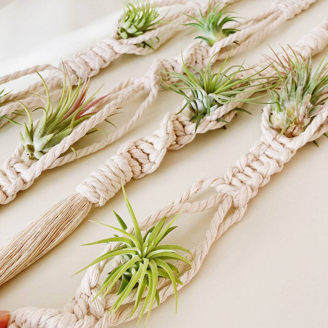 Elegant Macrame Plant Wall Hanging Stornfield