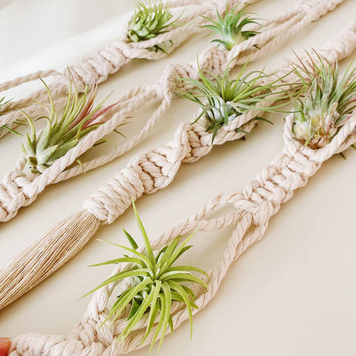 Elegant Macrame Plant Wall Hanging Stornfield
