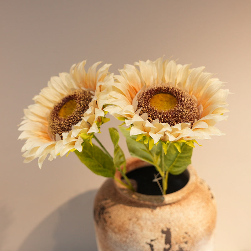 Decorative Plant Stornfield