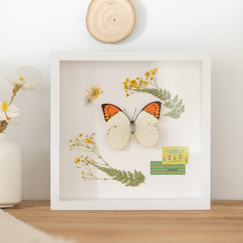 Decorative Butterfly Wall Art for Home