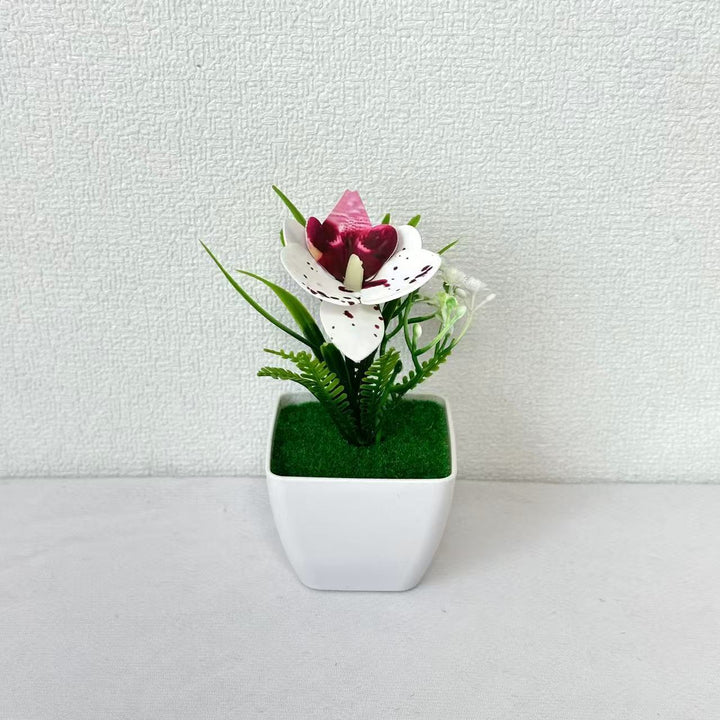 Small Potted Artificial Orchid Arrangement