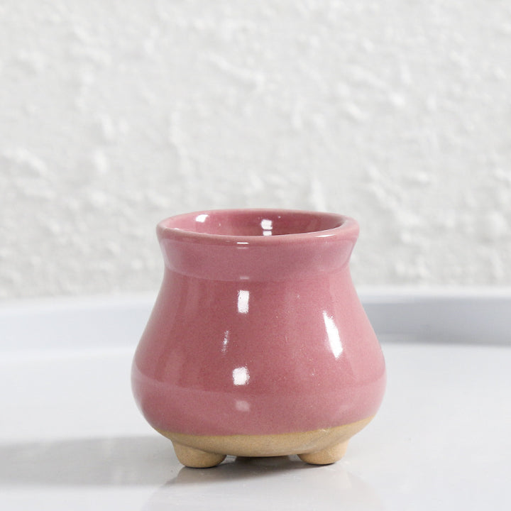 Miniature Decorative Flower Pot Stornfeild