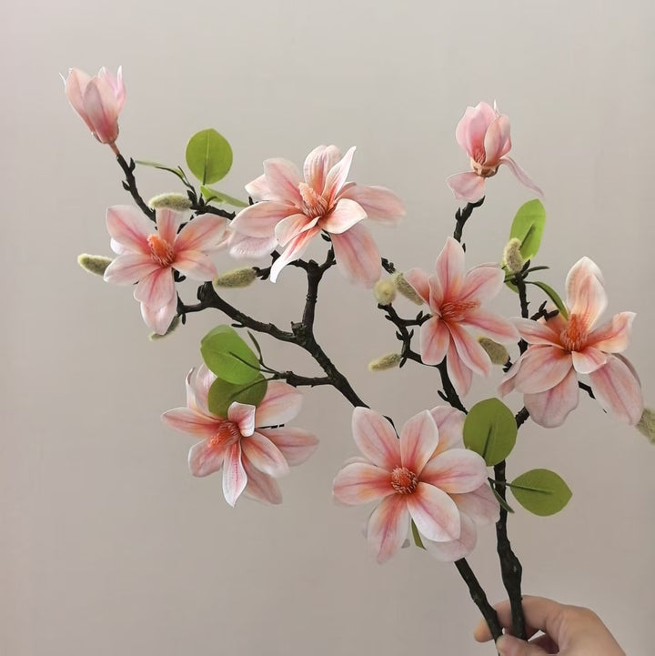 Elegant Magnolia Stem