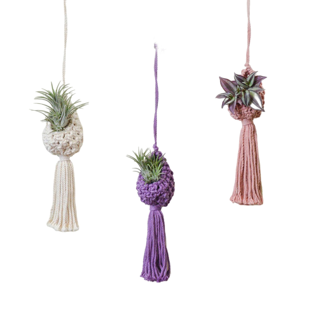 Macrame Hanging Plant Holder with Decorative Tassel Stornfield