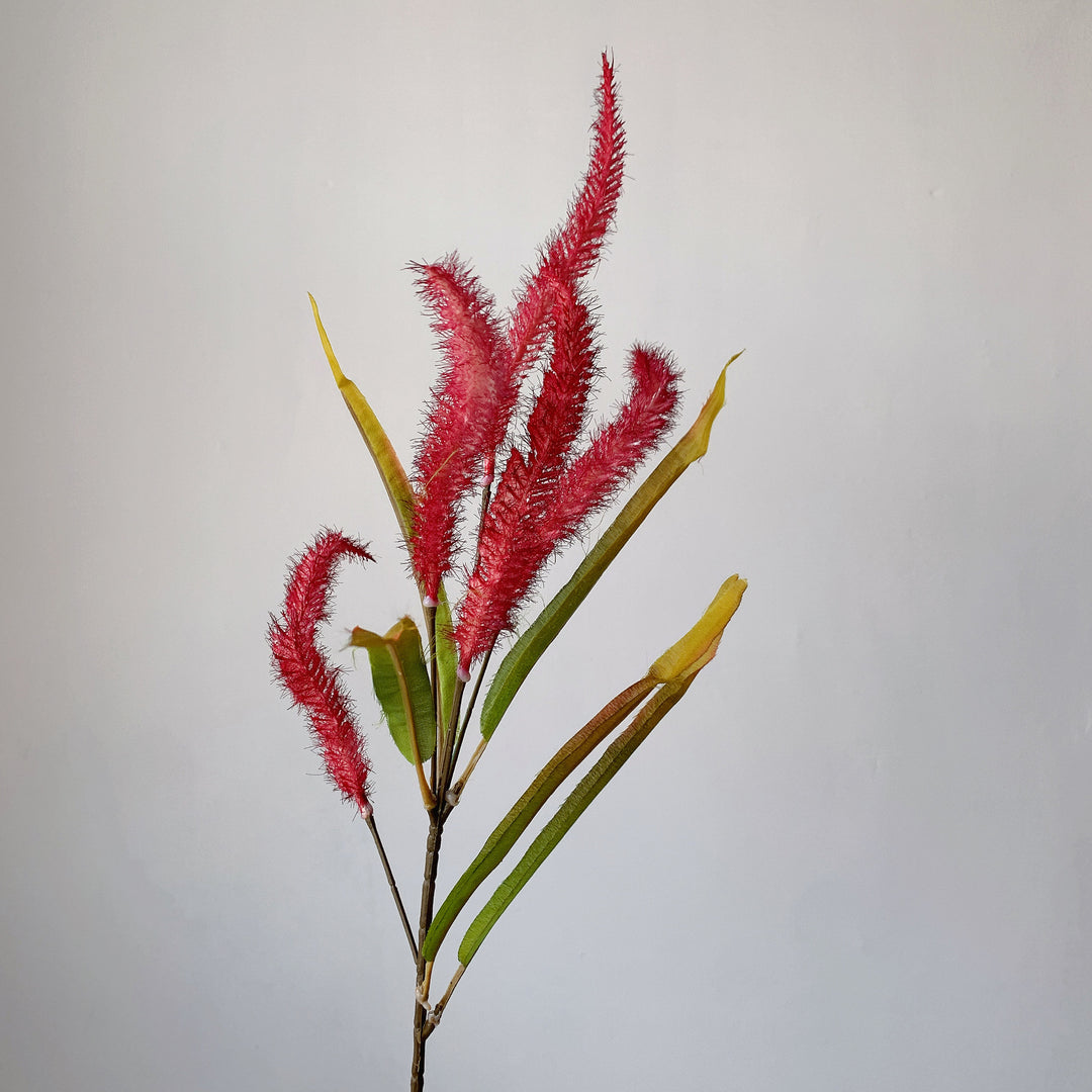 Decorative Pampas Grass Stem