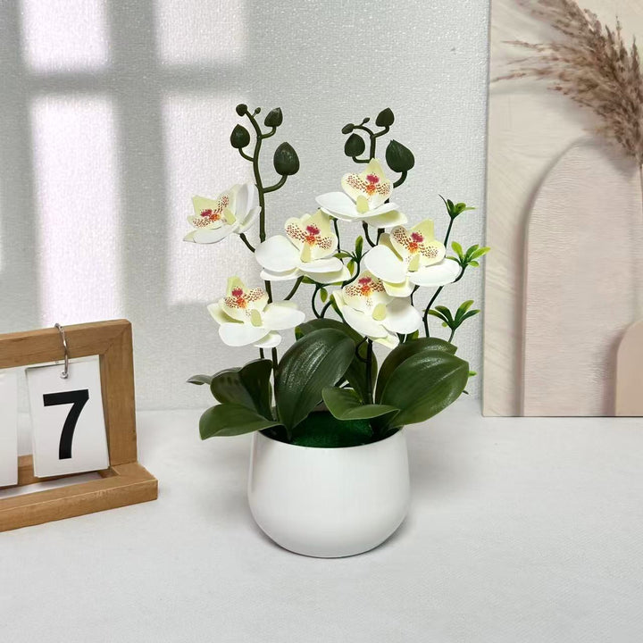 Orchid Floral Arrangement