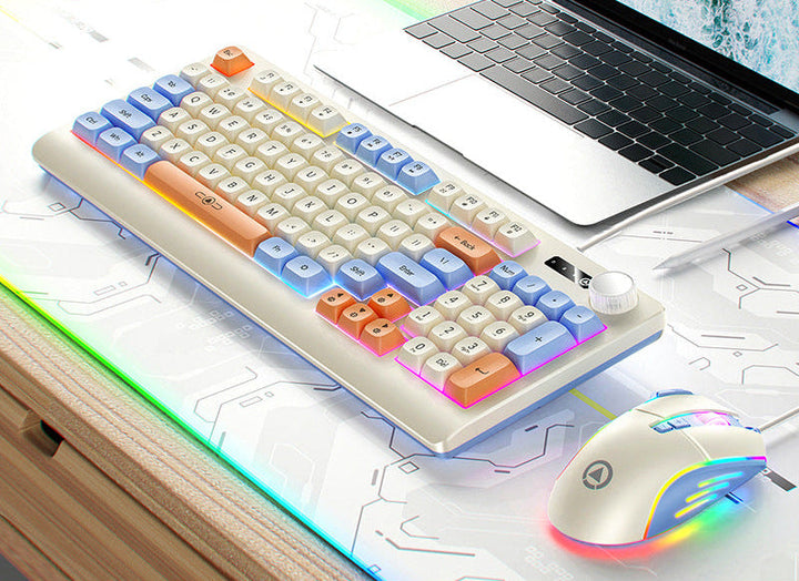 Retro RGB Mechanical Keyboard and Optical Gaming Mouse Set Stornfield