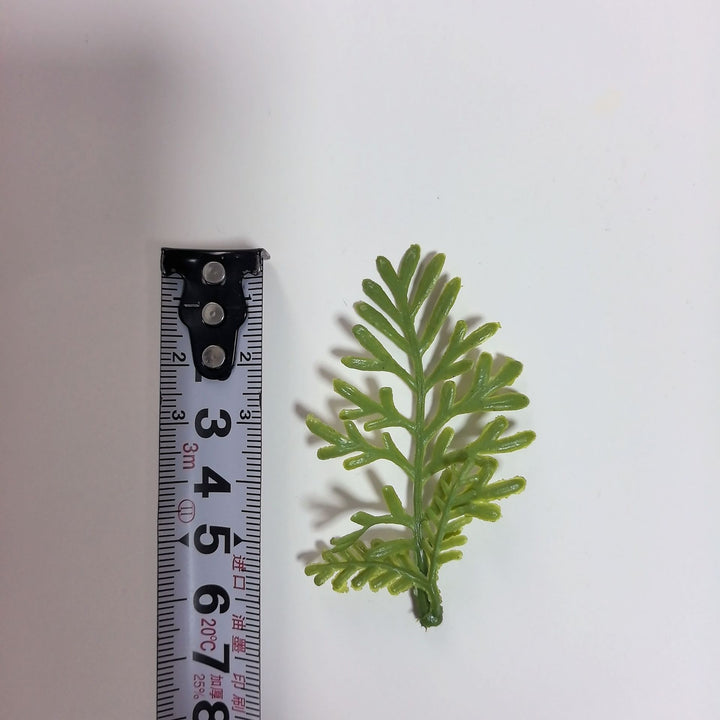 Decorative Green Fern Stem