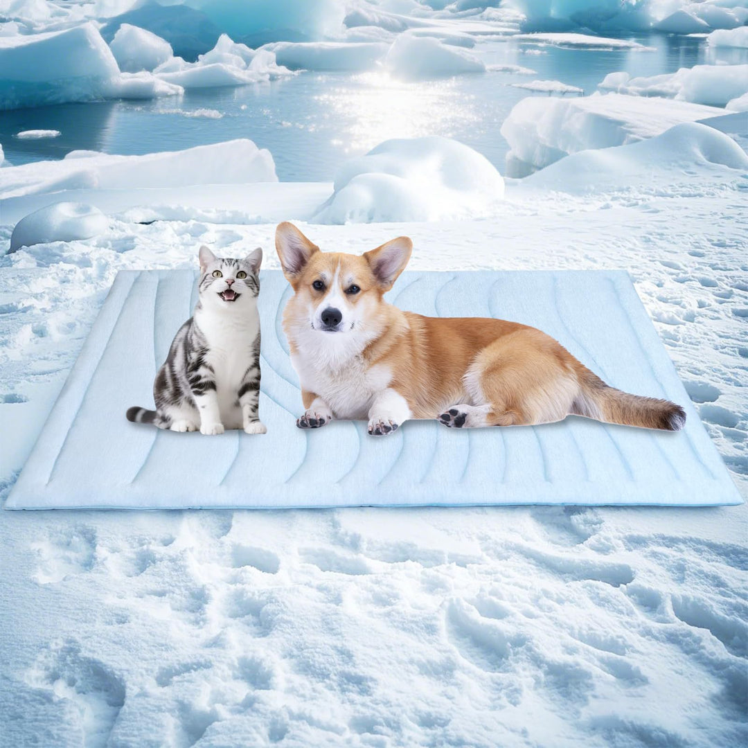Tier Snuggle Blanket Stornfield