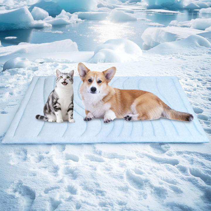 Tier Snuggle Blanket Stornfield