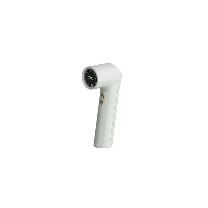Handheld Garment Steamer Stornfield
