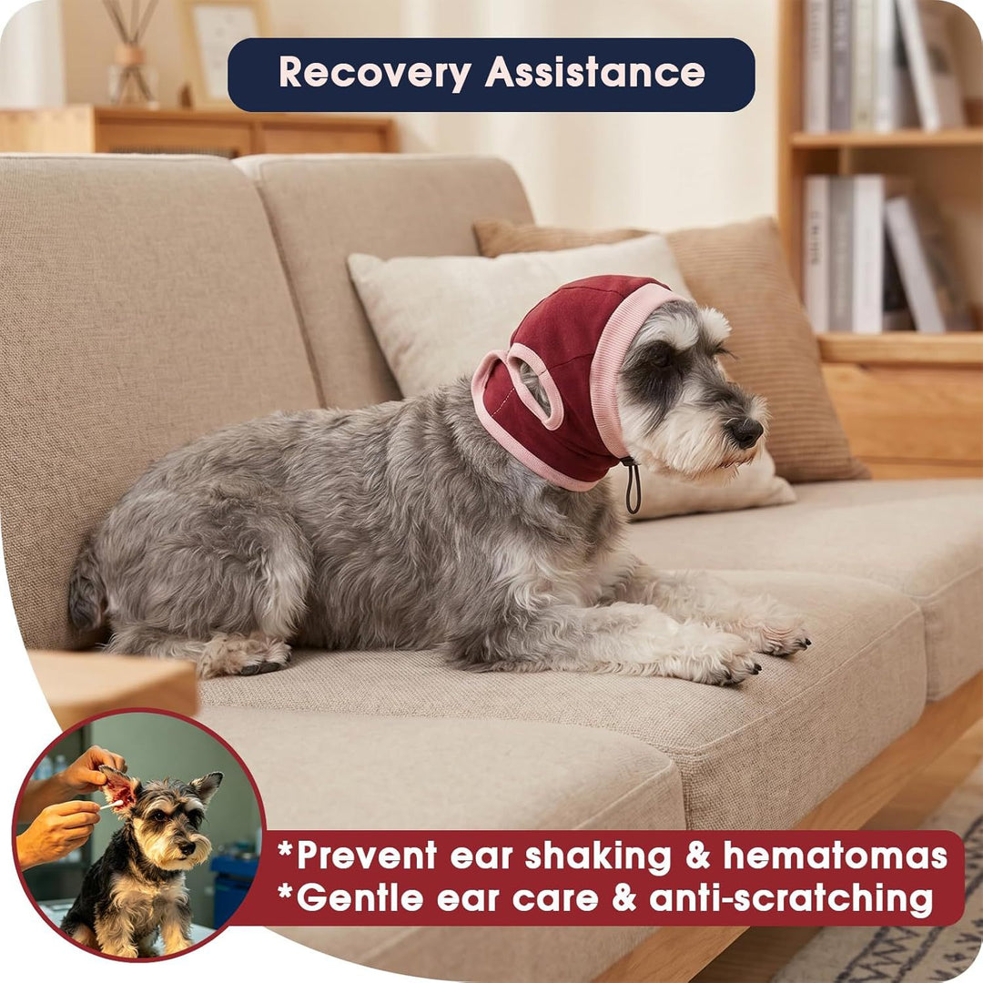 Dog head protection Stornfield