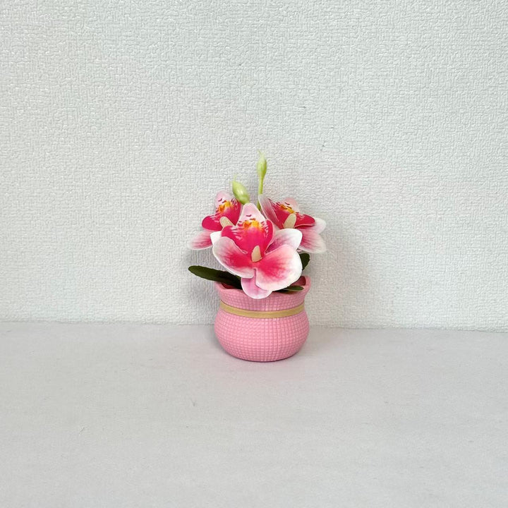 Decorative Potted Orchid Arrangement for Home Decor