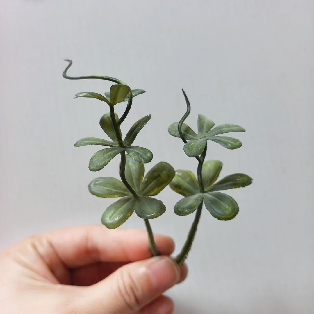 Decorative Succulent Arrangement