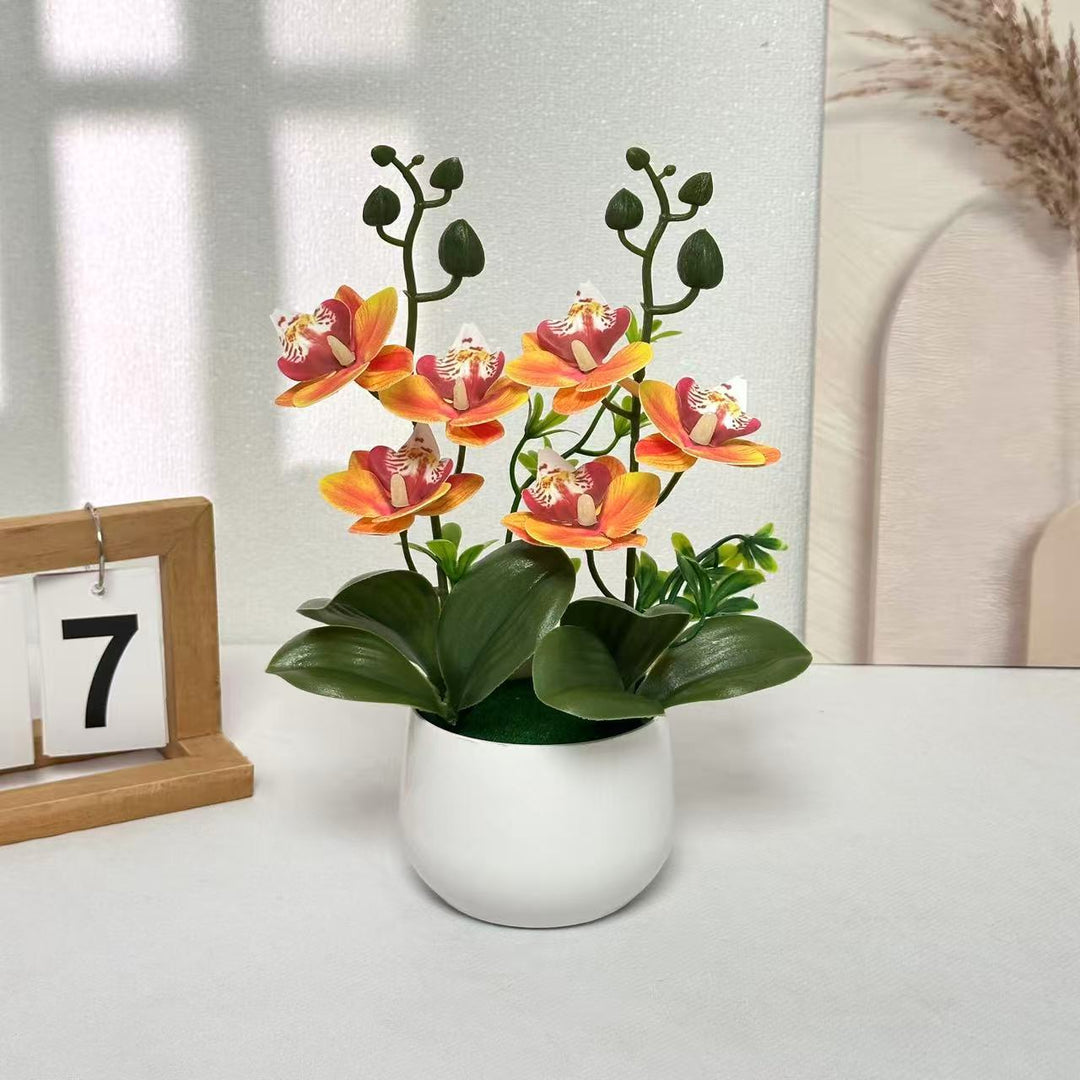 Orchid Floral Arrangement