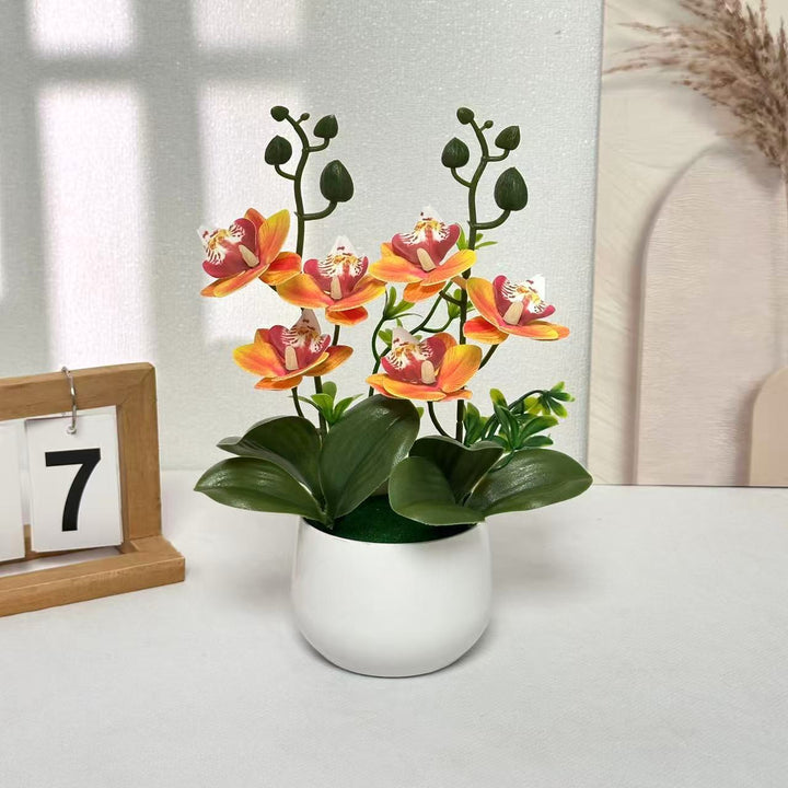 Orchid Floral Arrangement