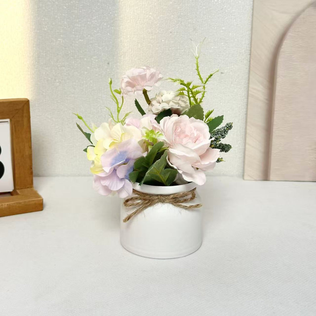 Decorative Ceramic Pot for Home Plant Display
