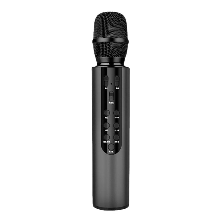 Wireless Karaoke Microphone with Echo Control Stornfield
