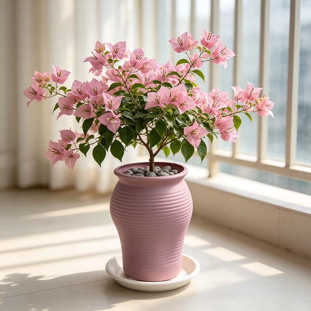 Decorative Textured Planter Vase Stornfeild